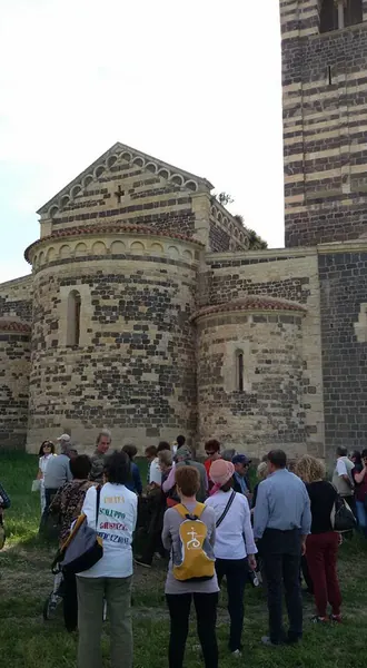 lingrom31