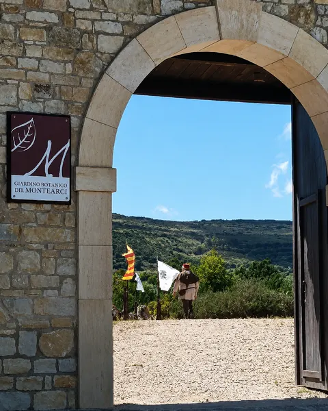 masullas46