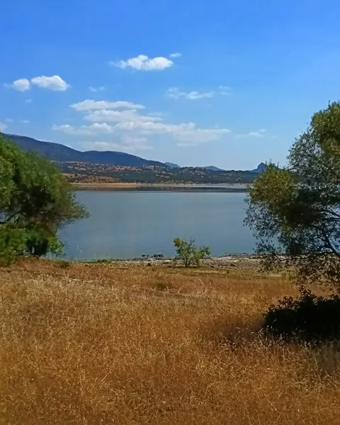 tula41