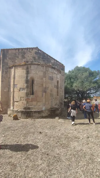 sulcis2516
