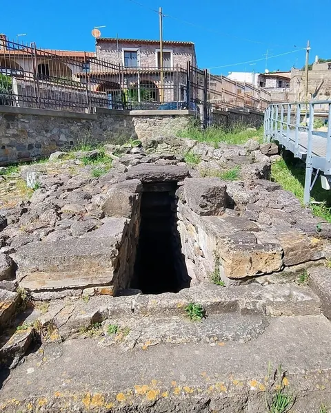 sardara2616